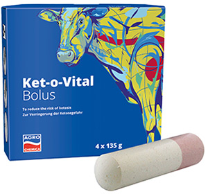Bolus Ket-o-Vital® zur Ketose Prophylaxe