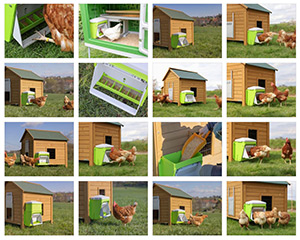 Vorschau Download Bildersammlung Imagebilder für SmartCoop