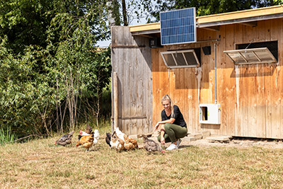 SmartCoop und Solarpaneel installiert in selbstgebautem Hühnerstall