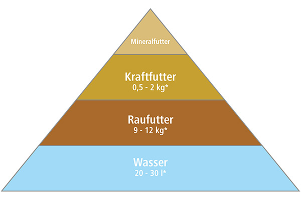 Grafik Nahrungspyramide für das Pferd