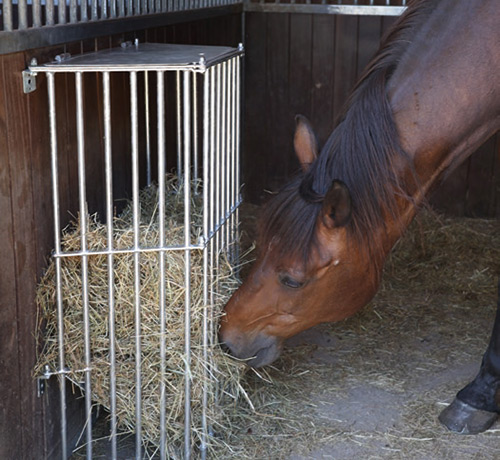 Pferd frisst aus einer Heuraufe im Stall
