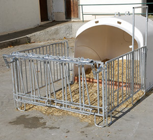Geschlossene Seiten- und Fanggitter des Kälberiglus CalfHouse Premium XL