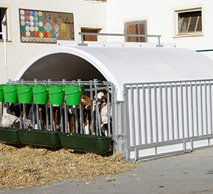 Flexibles Seiten- und Fanggittersystem des CalfHouse Premium XXL