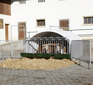 Fanggitter der Großraumkälberhütte CalfHouse Premium XXL