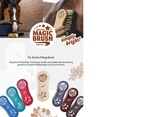 Titel der deutschen MagicBrush Broschüre