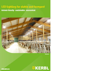 Title of brochure about led lighting
