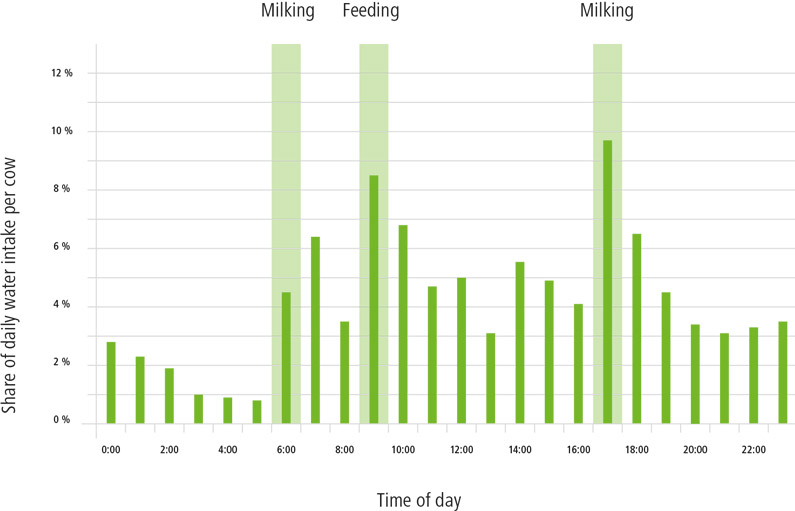 Diagram on the drinking behaviour of dairy cows