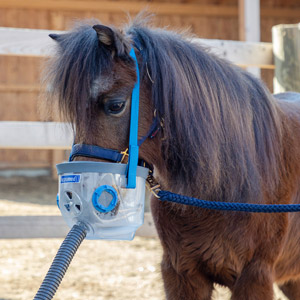 Ein braunes Pferd mit einem Inhalator von hippomed