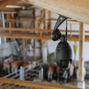Eine Stallüberwachungskamera an der Decke eines Kuhstalls