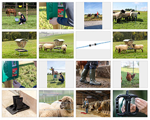 Beispielbild für Imagebildersammlung zur WOBLA Frühlingsaktion