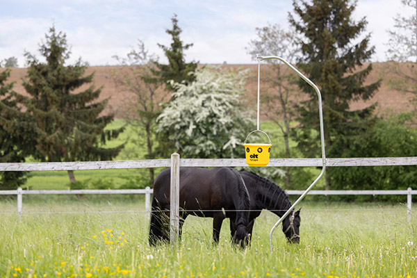 cit Fliegenfalle FlyCage6 auf einer Pferdeweide