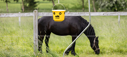 Schwarzes Pferd auf einer Weide wird mit der Fliegenfalle FlyCage6 vor lästigen Fliegen geschützt