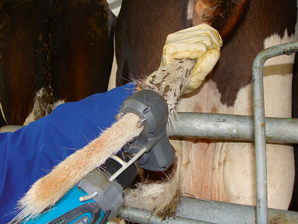 Kuhschwanzhaare werden entfernt mit dem TailWell2 Power Tail Trimmer