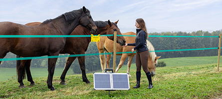 Eine Landwirtin begutachtet ihre mit einem Solarweidezaungerät geschützte Pferdeweide