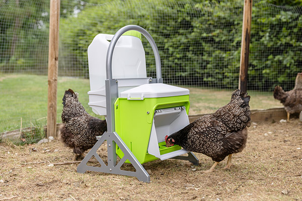 Hühner versammeln sich um den SmartCoop Futterautomaten