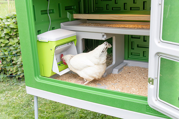Ein weißes Huhn pickt aus einem SmartCoop Futterautomaten, der in einem Mobile Coop Hühnerstall integriert ist