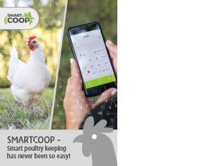 Title of SmartCoop brochure