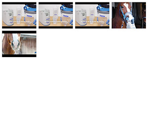 Beispielbild für Download für Videosammlung über hippomed Pferde-Inhalatoren
