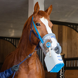Ein Pferd mit AirOne Flex Pferde Inhalator