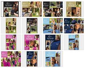 Vorschau auf Bildersammlung für Google Ads Download von Covalliero Trendbook