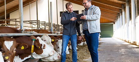 Kerbl Mitarbeiter berät Landwirt im Kuhstall