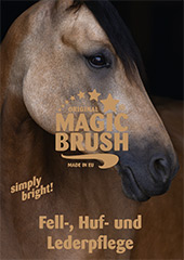 Titel MagicBrush Pferd Broschüre