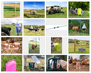 Beispielbild für Imagebildersammlung zur WOBLA Frühlingsaktion