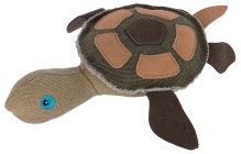Schildkröte Tukki