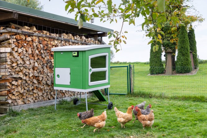 Kerbl Hobbyfarming SmartCoop Stallbelüftung, Hühner, gesundes Stallklima, Intervallschaltung