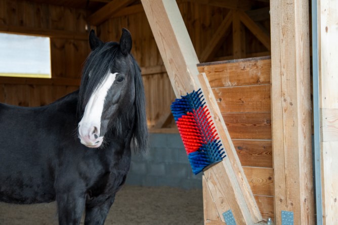 Kratzbürste Für Tiere 2er Set - Für Pferde, Kühe & Schafe Gegen Juckreiz
