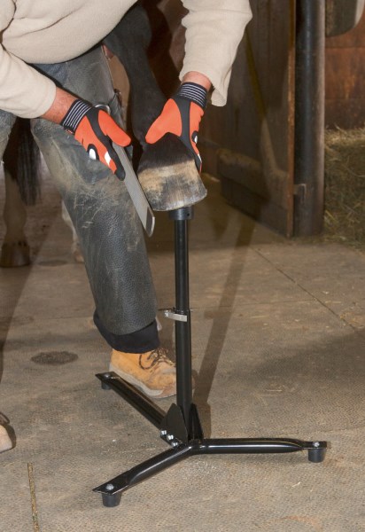 Kerbl 16161 Hufraspel met handvat voor hoefverzorging en klauwverzorging