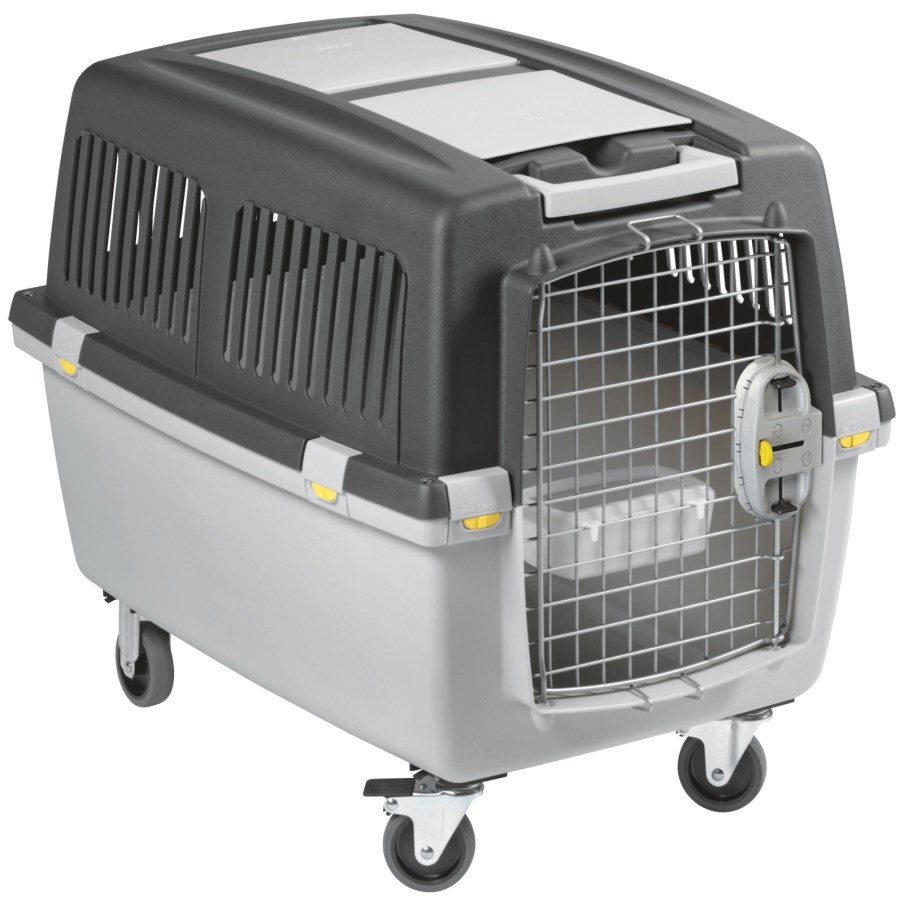 Transport Box Gulliver Meg  - Albert Kerbl GmbH