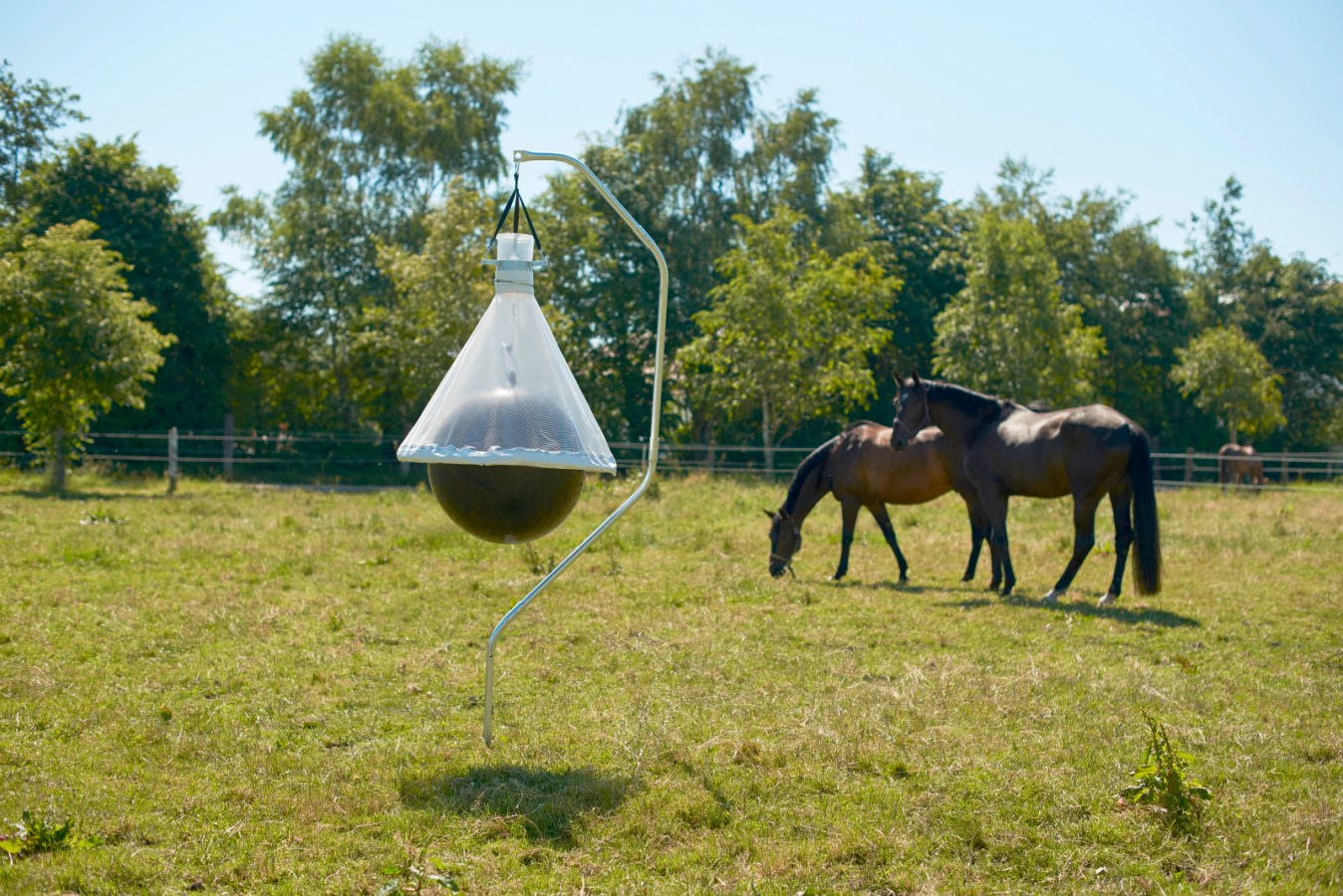 Kerbl Taonx Eco dazenval online kopen