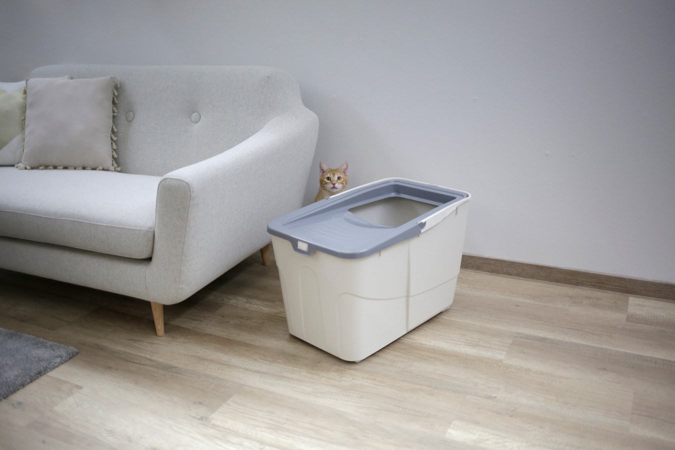 Frisco top entry cat litter box hot sale