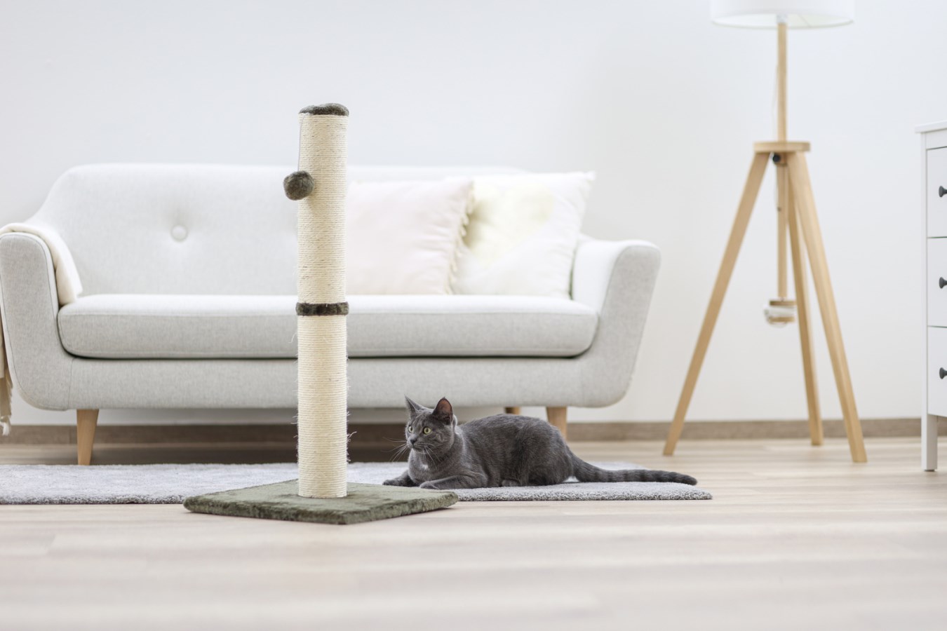 Scratching Post Opal Maxi,  - Albert Kerbl GmbH