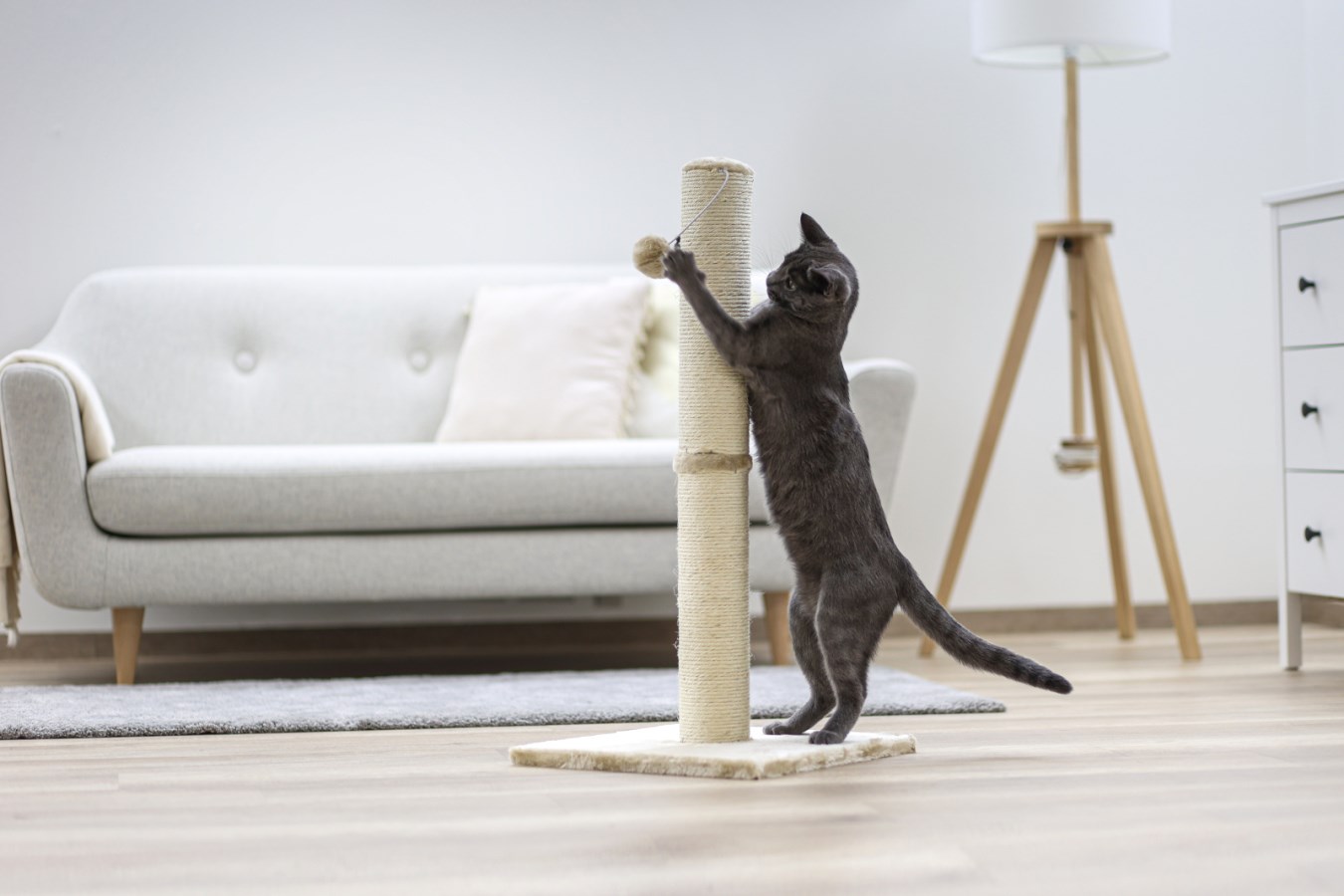 Scratching Post Opal Maxi,  - Albert Kerbl GmbH