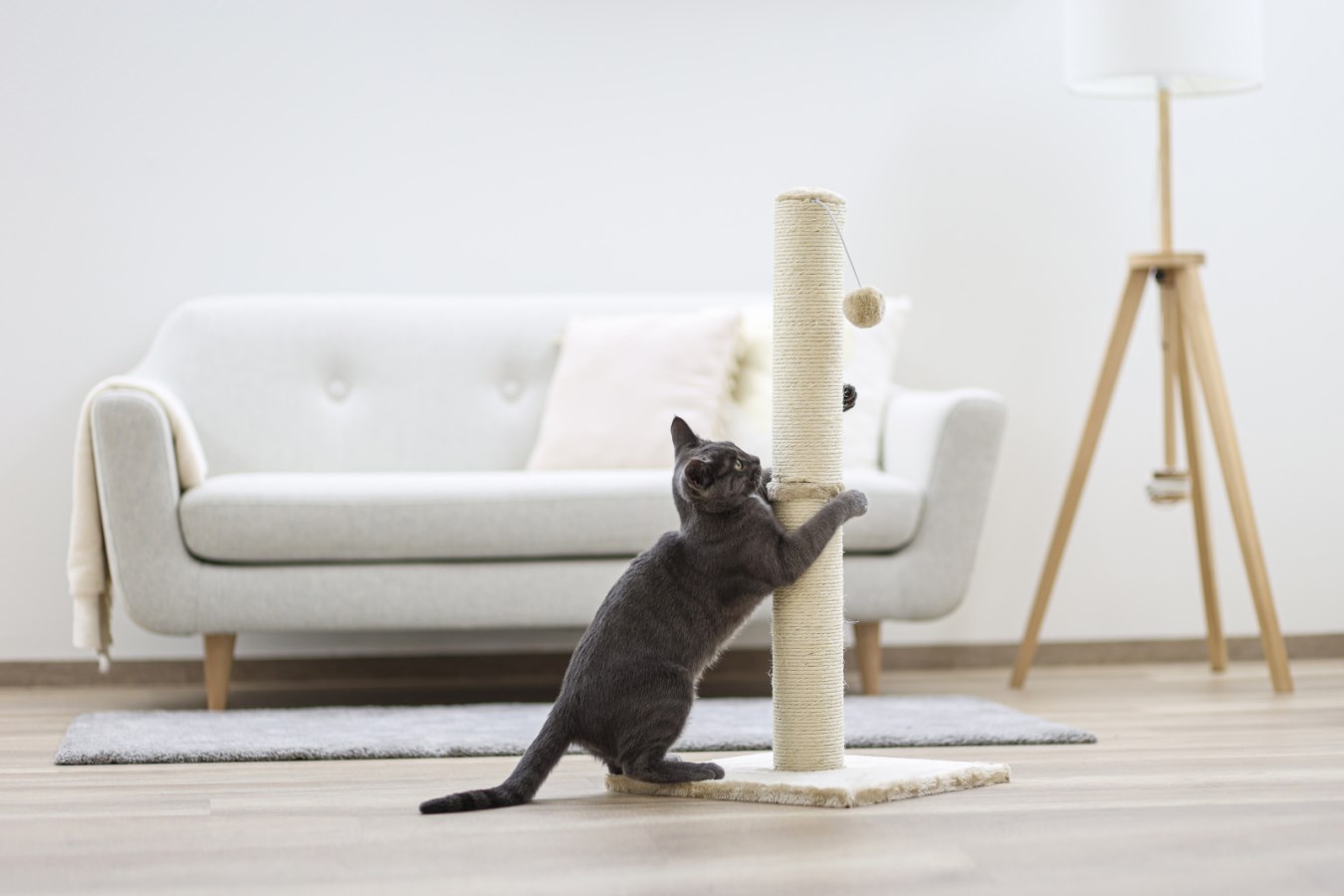 Scratching Post Opal Maxi,  - Albert Kerbl GmbH