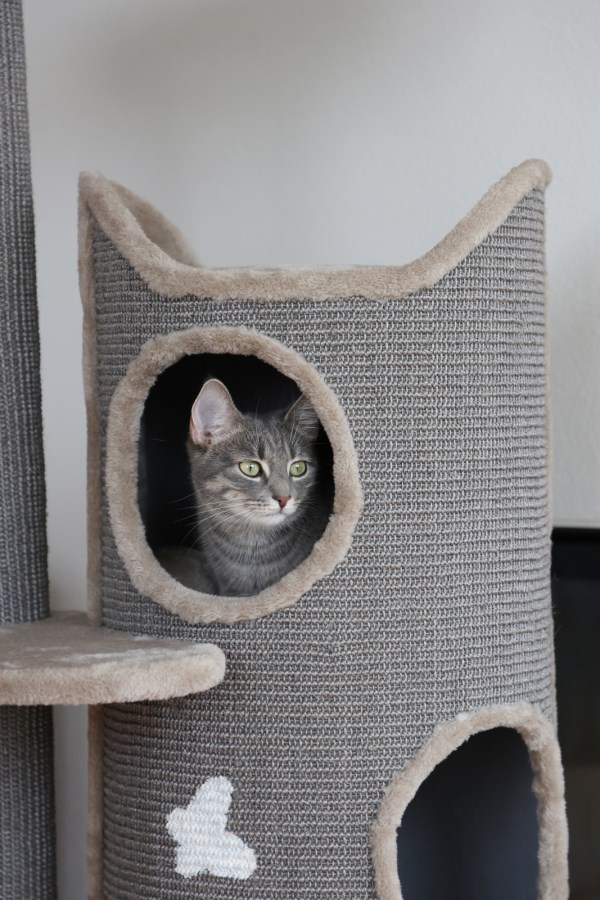 Cat Tree Tiana,Pet,Cat Sup  - Albert Kerbl GmbH