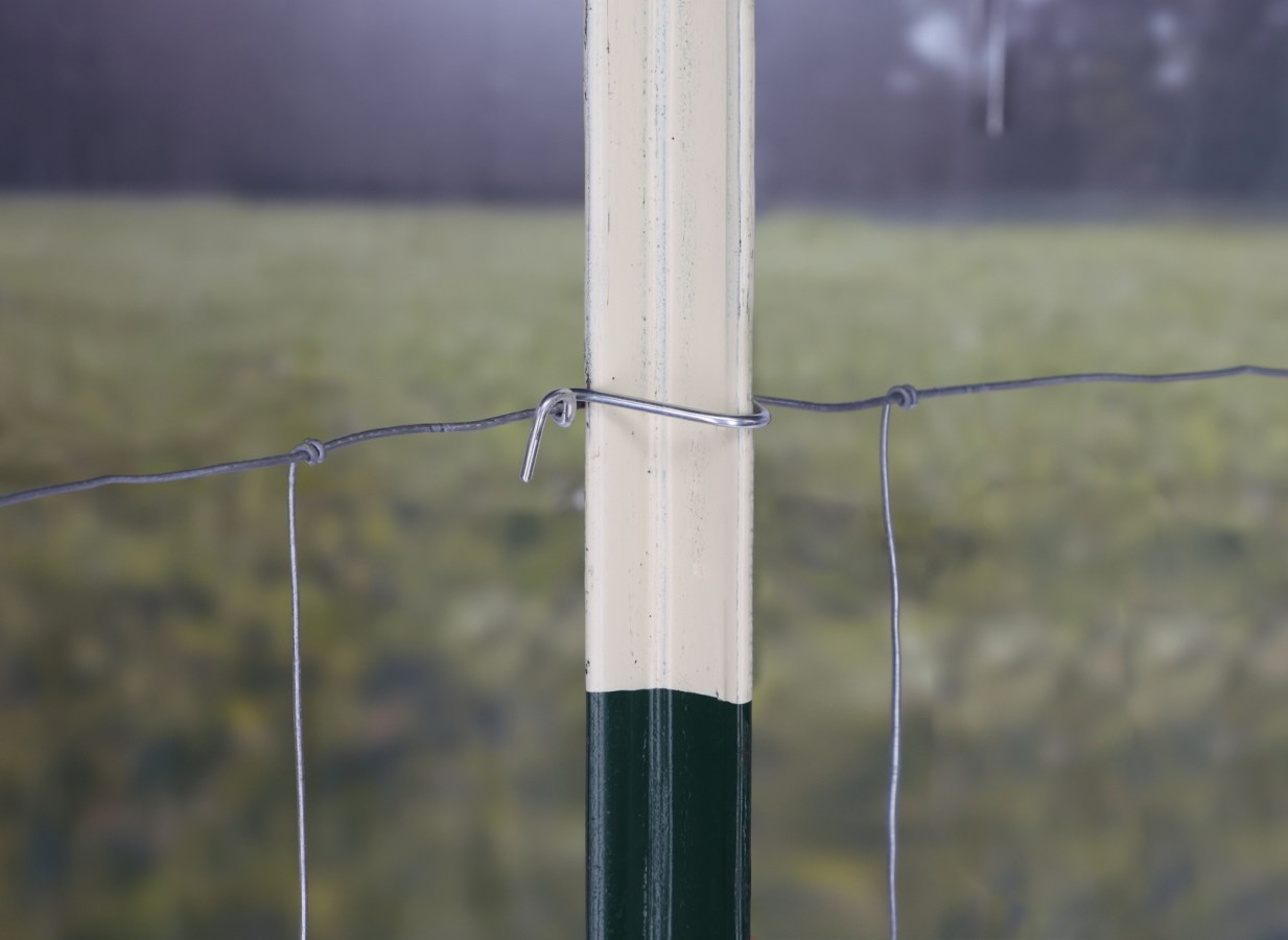 Kerbl Clip E Maniglia Per Scatola Da Trasporto Expedition - Ricambio In Plastica Di Alta Qualità - Foto 3