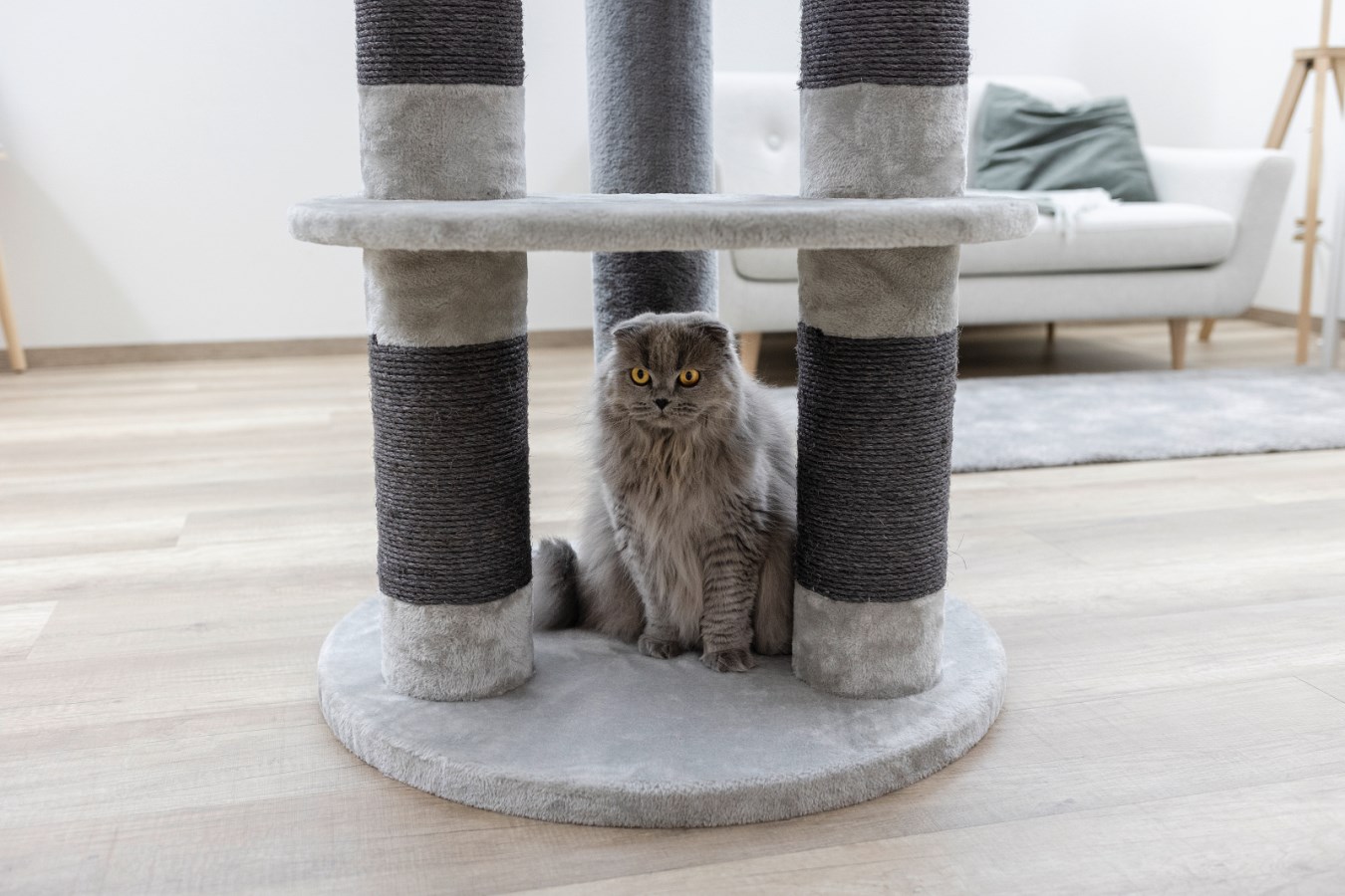 Cat Tree Benji,Pet,Cat Sup  - Albert Kerbl GmbH
