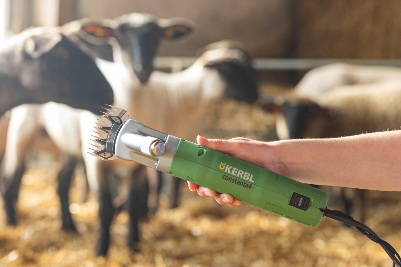 Why Sheep? ‎– Sampling Concerto XTRA Shearing Machine - Premier1Supplies
