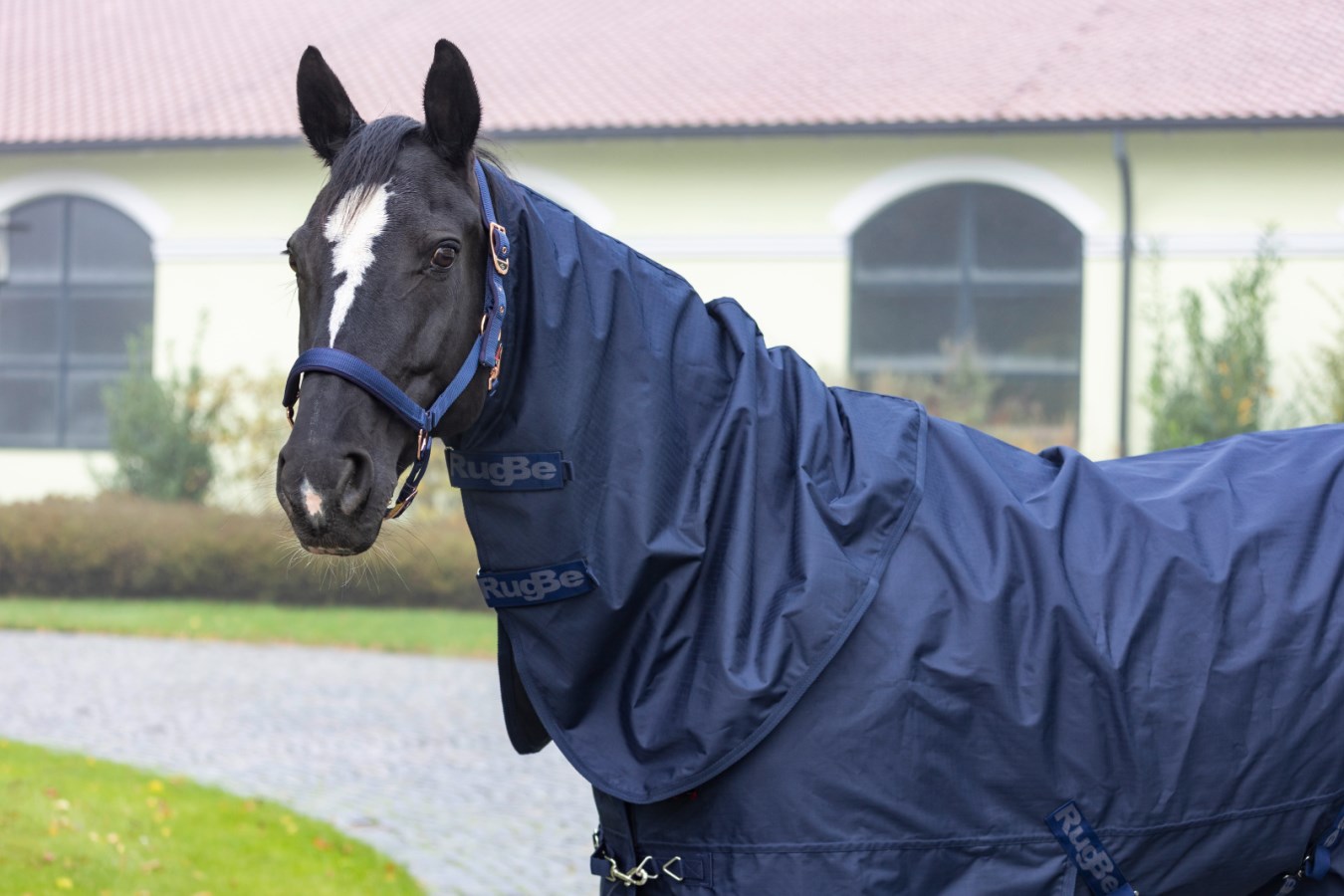 Neckpiece RugBe Zero,Horse  - Albert Kerbl GmbH