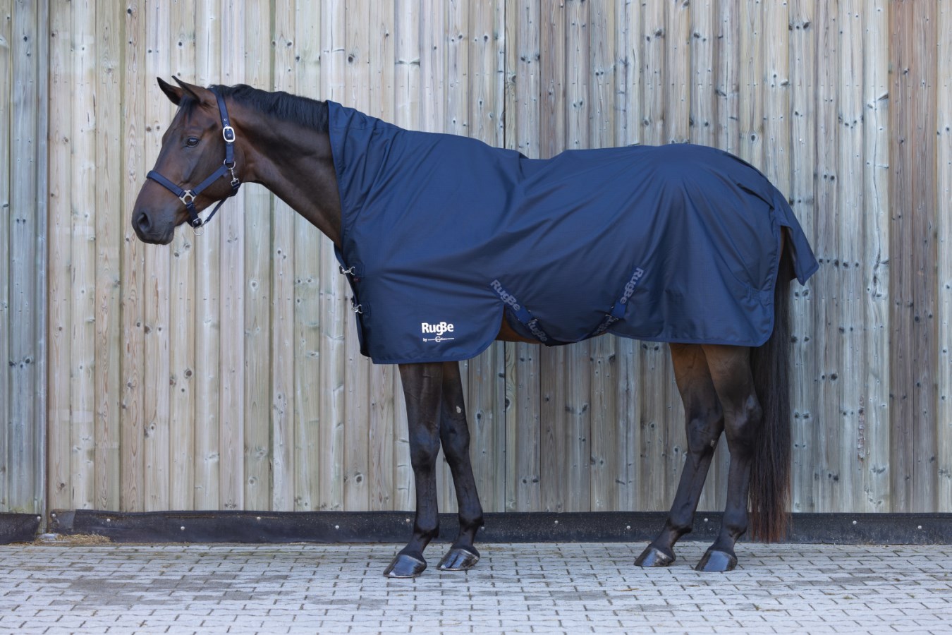 Outdoor Horse Blanket RugB  - Albert Kerbl GmbH