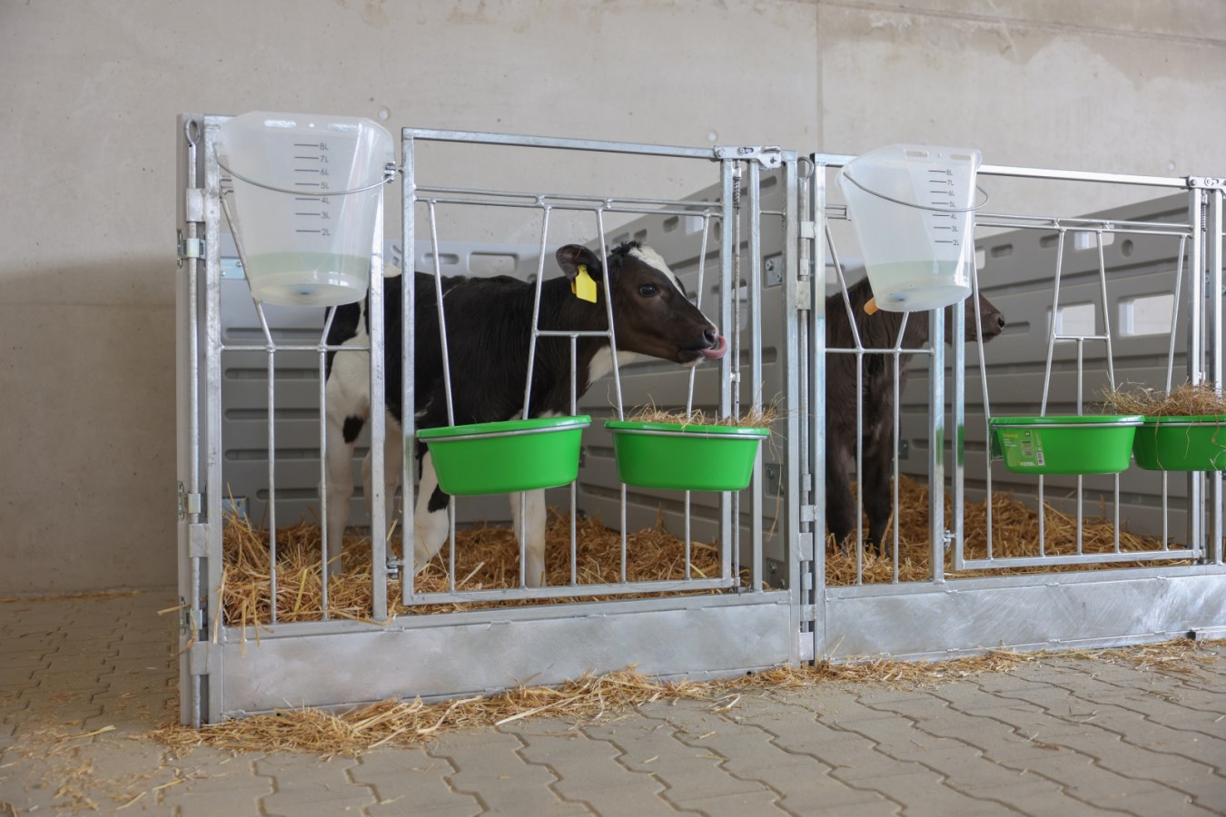 Modular Calf Box,Agricultu ... - Albert Kerbl GmbH