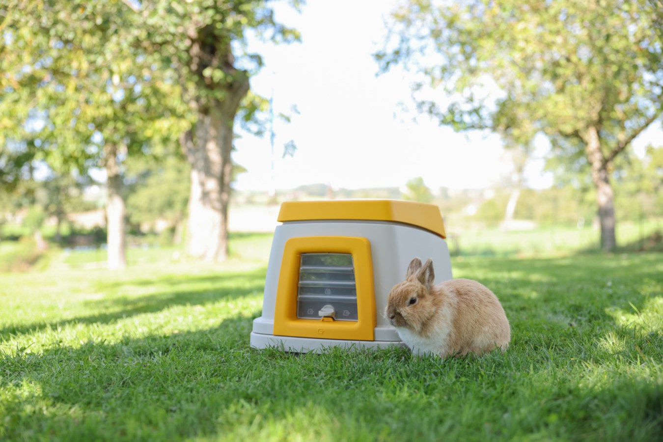 Rabbit House Bunny Base,Pe  - Albert Kerbl GmbH