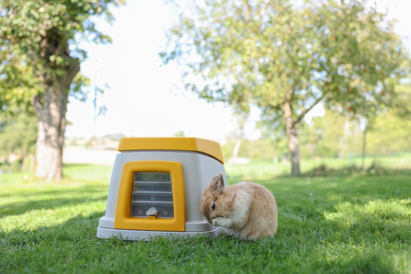 Rabbit House Bunny Base,Pe  - Albert Kerbl GmbH