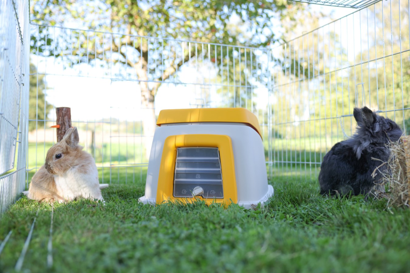 Rabbit House Bunny Base,Pe  - Albert Kerbl GmbH