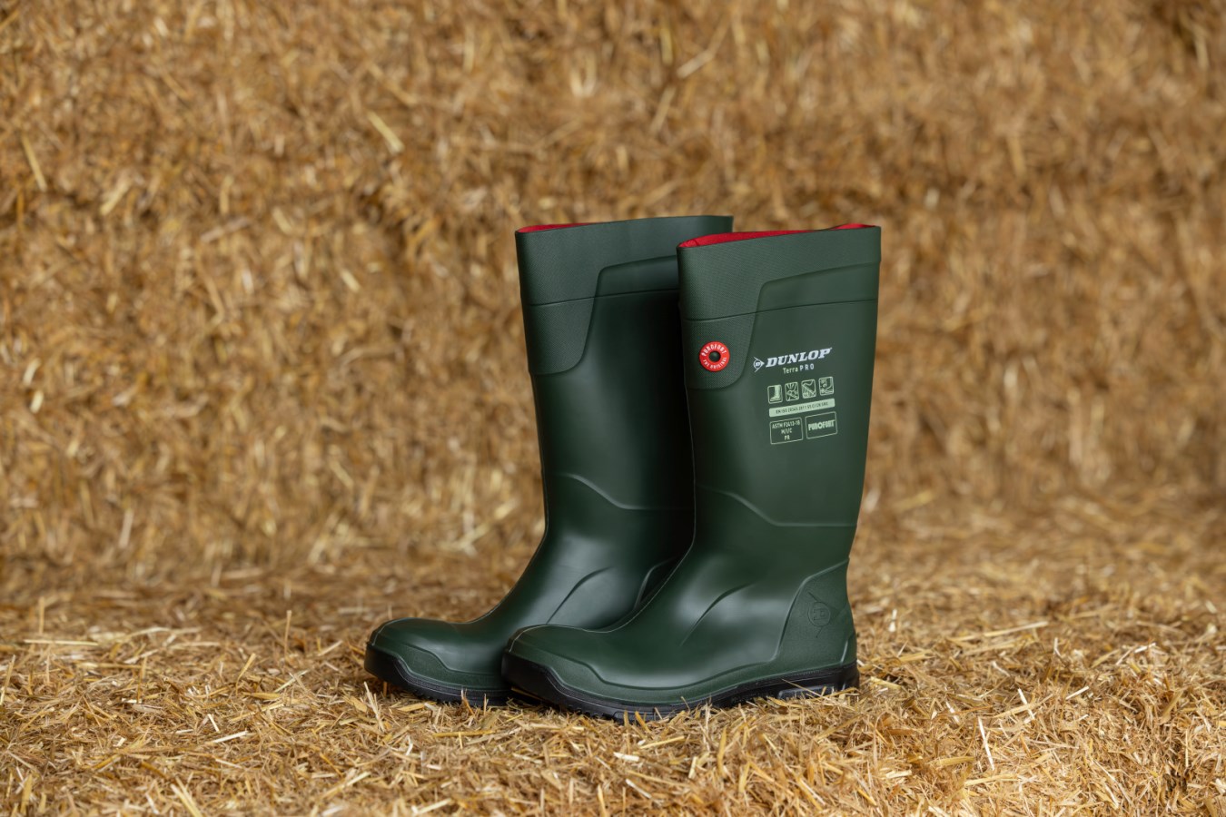 Dunlop Purofort Thermo Sicherheitsstiefel Dunlop Gummistiefel Mit  Stahlkappe Dunlop® Safety Boot Purofo Albert Kerbl GmbH - Main Image