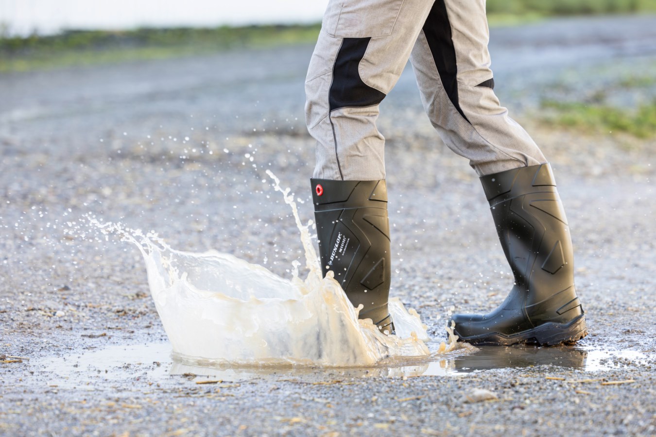 Dunlop® Safety Boot Purofo  - Albert Kerbl GmbH