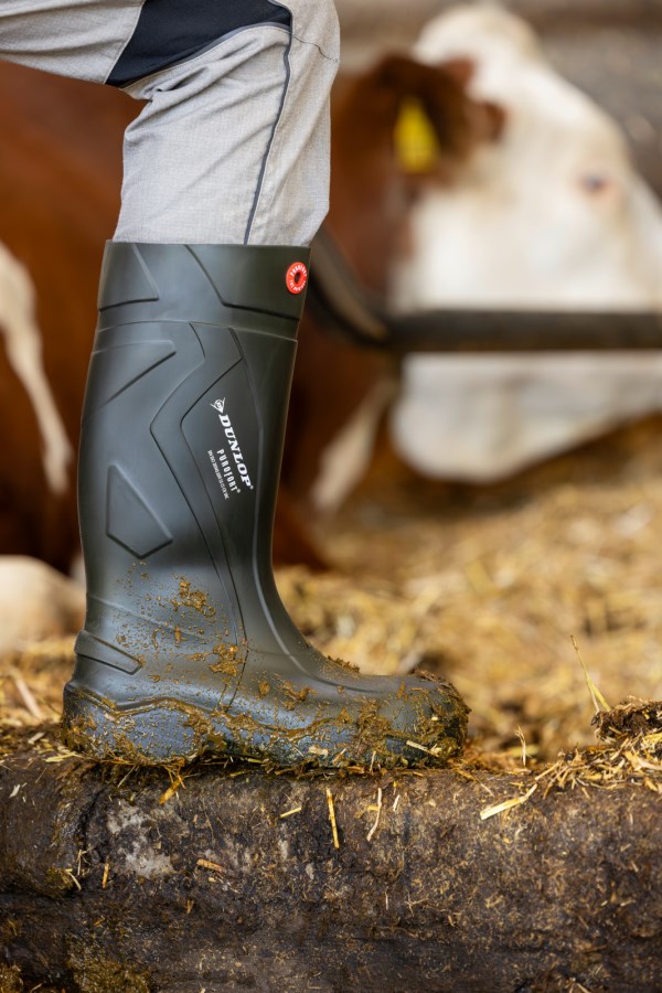 Dunlop® Safety Boot Purofo  - Albert Kerbl GmbH
